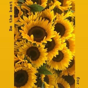 Meet your Posher, Tyra